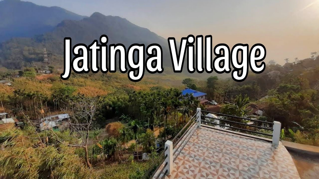 Jatinga Valley | Jatinga Bird Mystery | Dima Hasao, Assam~2024