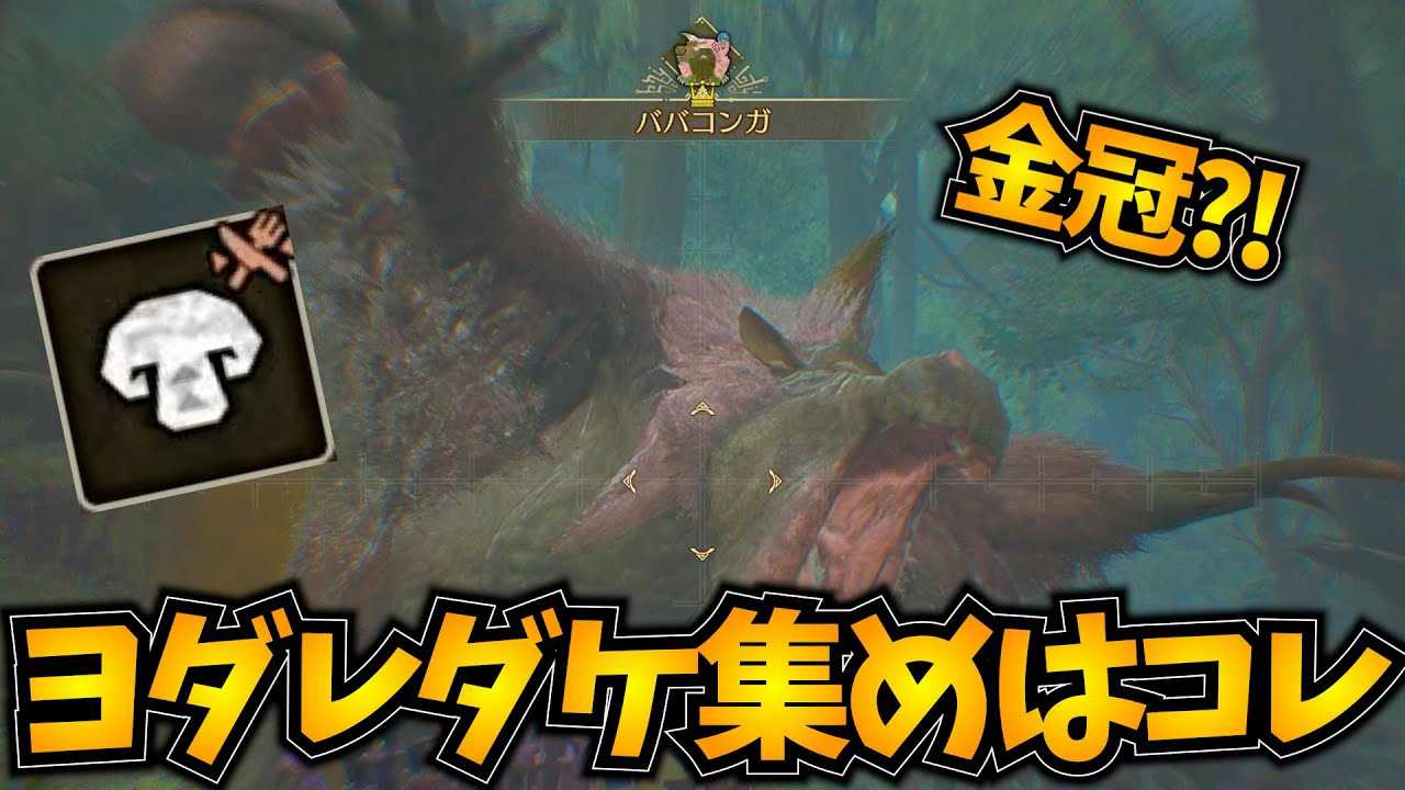 【モンハンワイルズ】ヨダレダケが効率よく稼げる新イベクエが激熱すぎる！【食材/イベントクエスト】