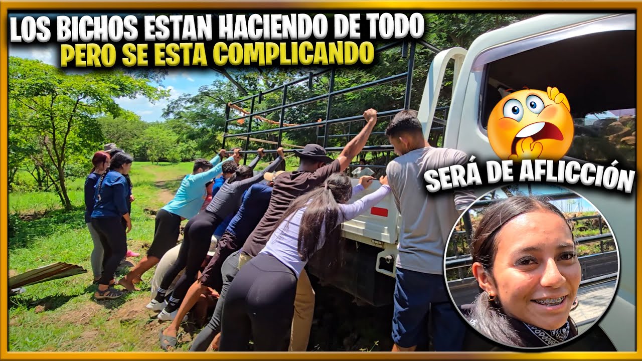 Camarón arruino la diversión de los Bichos por irse al hoyo. Heydi se anda ped0rreando