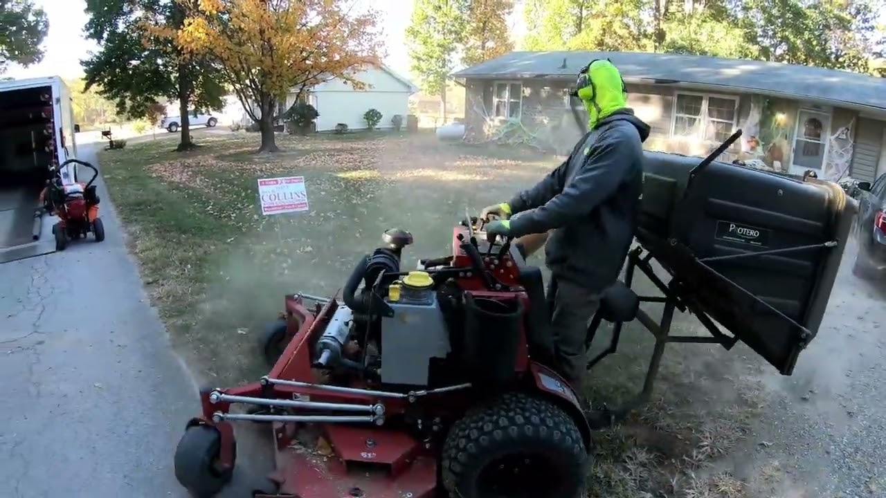 Real Time Leaf Removal
