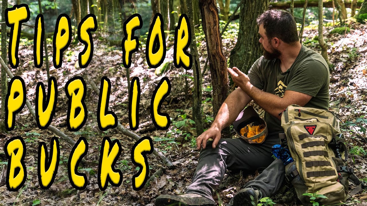 My 3 Tips for Scouting Public Land to Deer Hunt