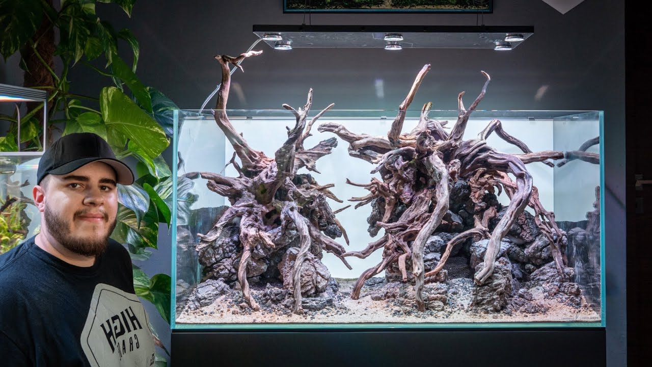 Hardscape Tutorial: 90P Diorama Aquascape einrichten!