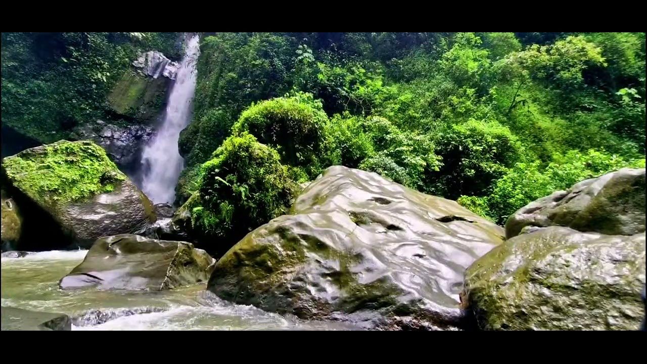 Gentle Water Flow | Calming River Ambience ASMR