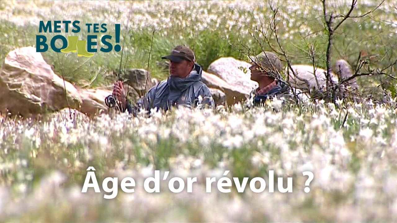 Pêcheurs français : une espèce en voie d'extinction ?