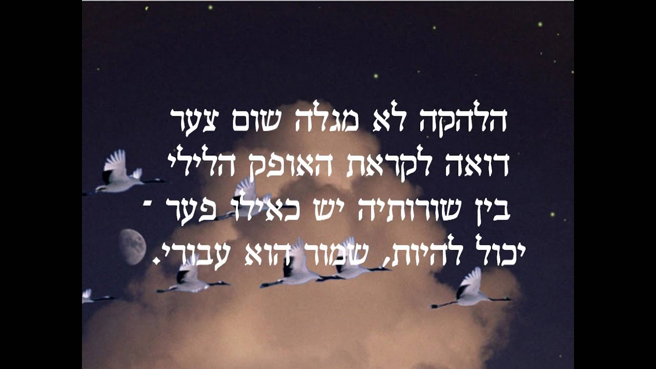 העגורים הלבנים- Журавли