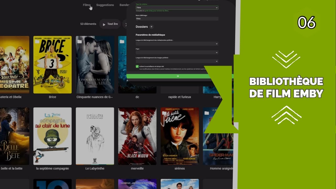 Comment PARAMETRE la BIBLIOTHEQUE de FILM ? Peut-on créer notre propre NETFLIX ? (matthiasdess)