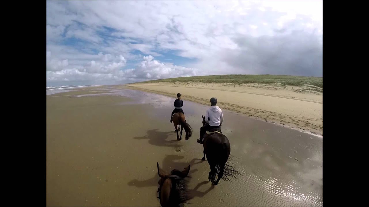 Strandrit Manege Bakker Noordwijkerhout