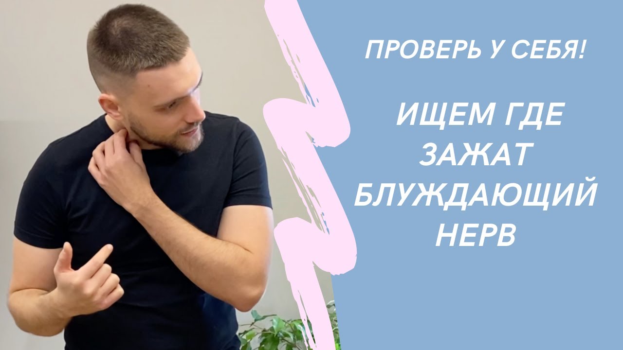 7 мест, в которых зажимается блуждающий нерв Проверьте себя!