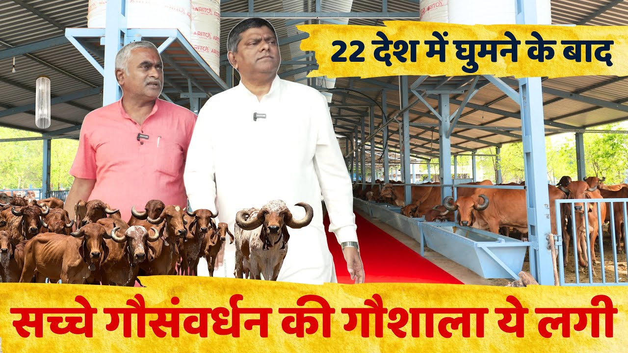 22 देश में घुमनेके बाद सच्चे गौ संवर्धन की गौशाला ये लगी | Gir Gau Jatan | Rameshbhai Rupareliya