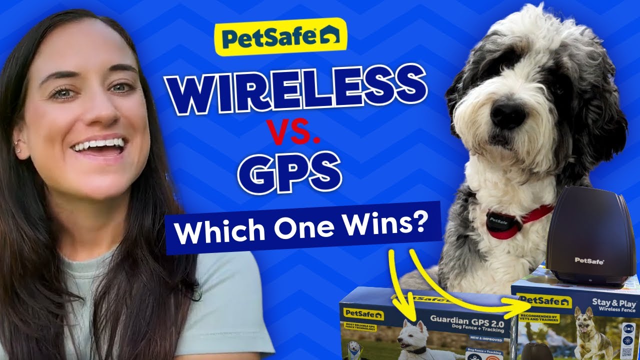 Wireless or GPS Dog Fence: Which System Is Right for You?