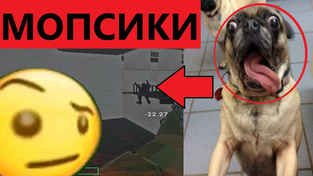 МОПСИКИ в SCP Secret Laboratory (мувик scp sl)