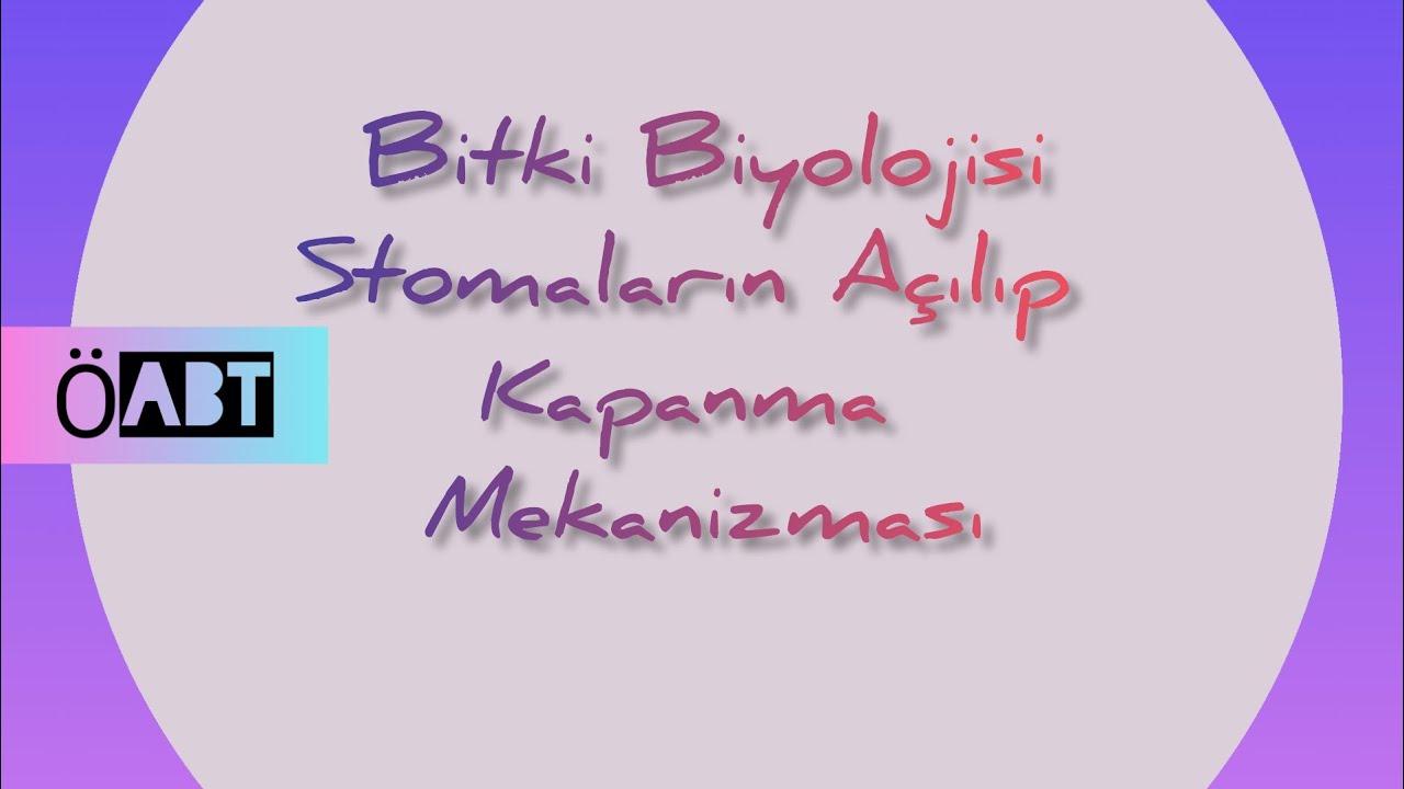 127) Bitki Biyolojisi /  Stomaların Açılıp Kapanma Mekanizması - ÖABT BİYOLOJİ