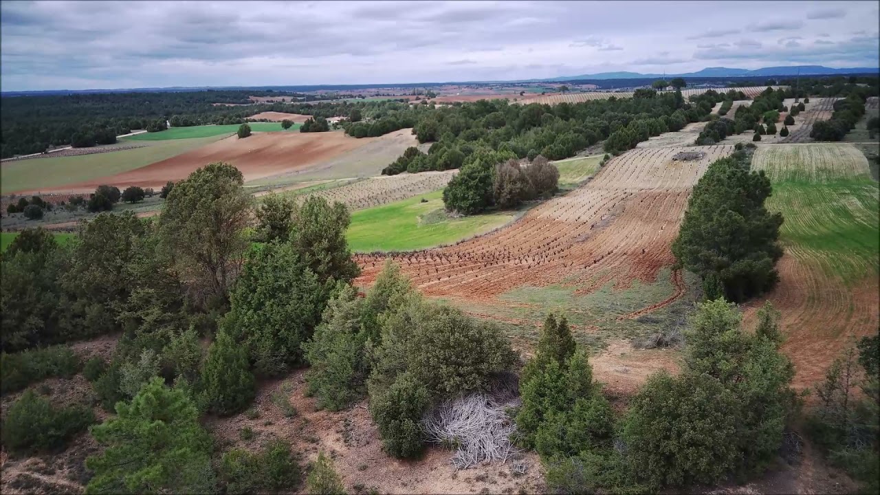 San Juan Del Monte (Burgos)