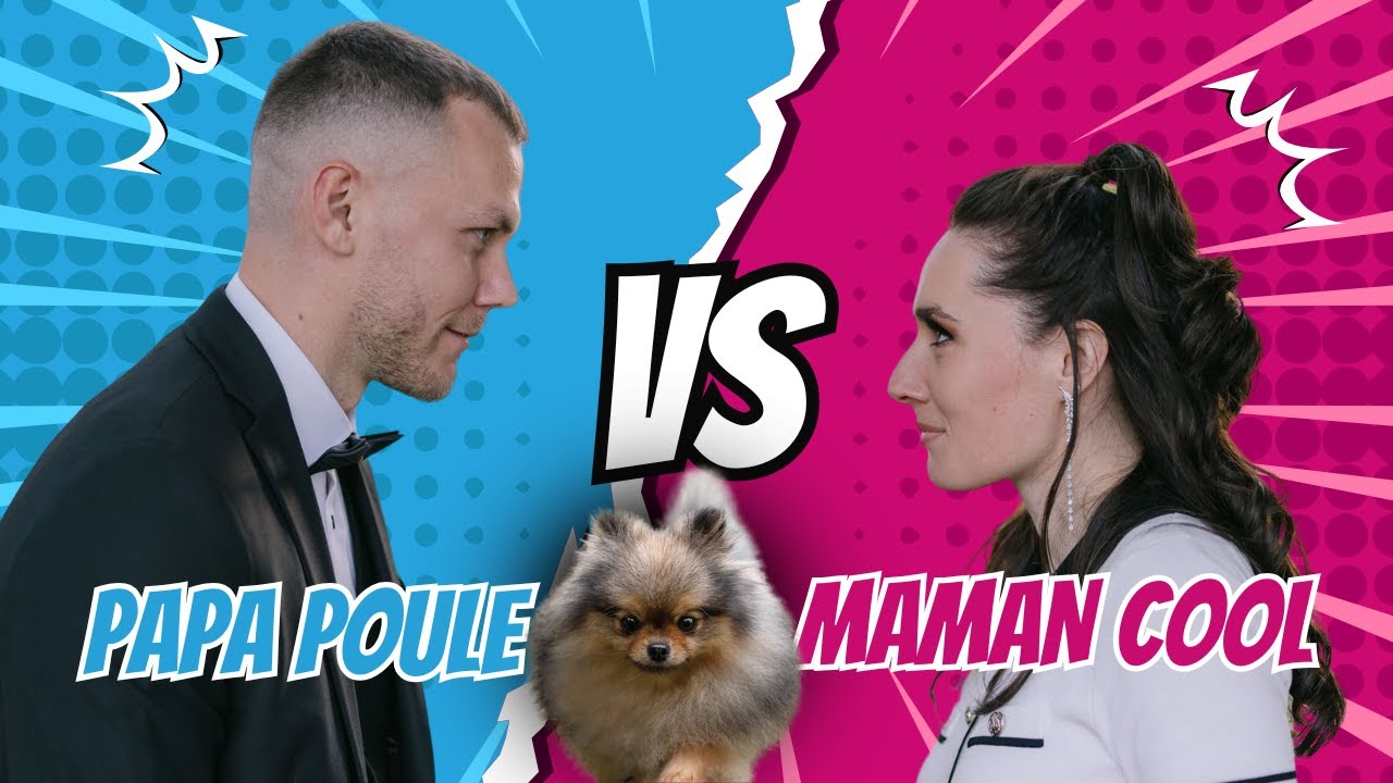 🐶 Chien avec papa VS chien avec maman 🐾 : ✦ 100% #pomeranian  #chihuahua #louloudepomeranie #vs