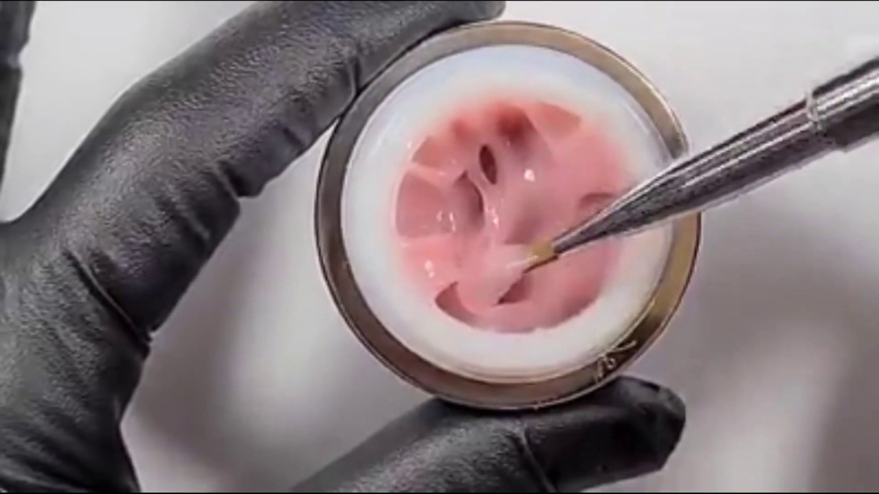 @AlinaHoyoNailArtist demonstrates our NEW Fair-y Fufu Sculpting Gel - Ugly Duckling Nails Inc.