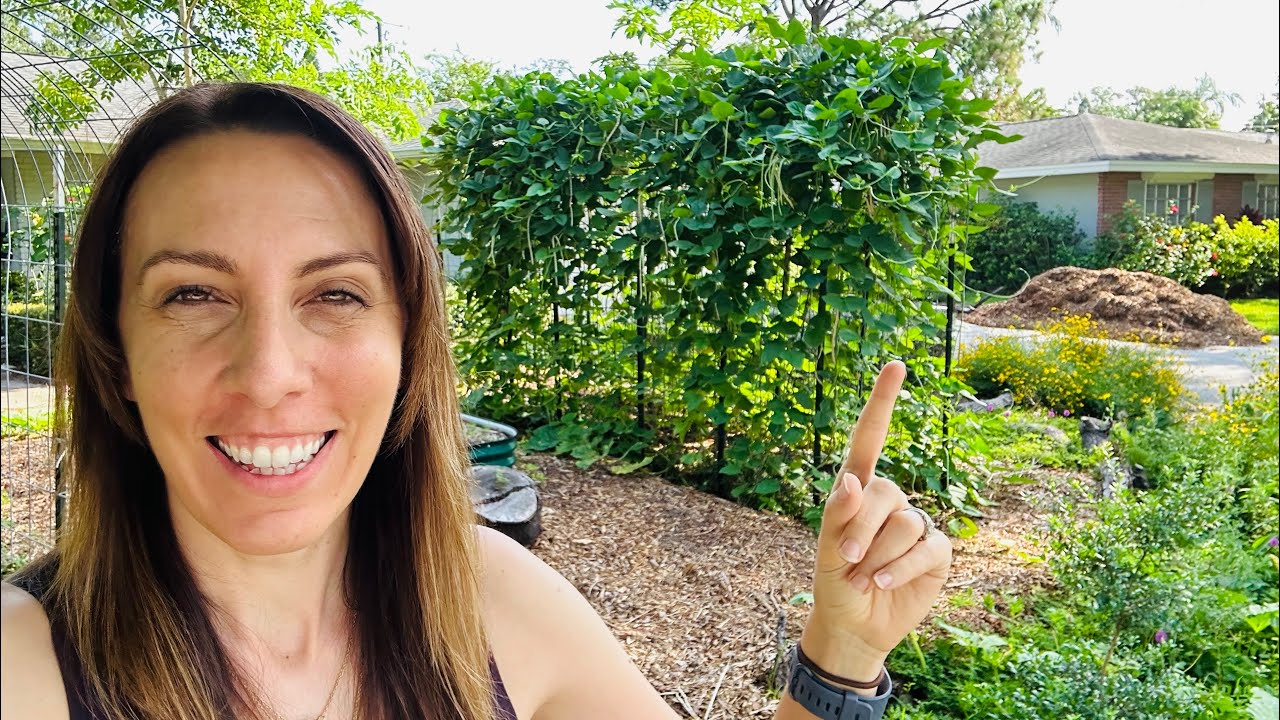 Unbelievable Tips for Growing a Successful Florida Vegetable Garden