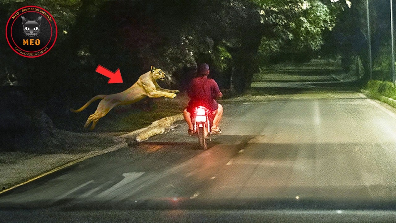Momentos Increíbles Captados por las Cámaras #204