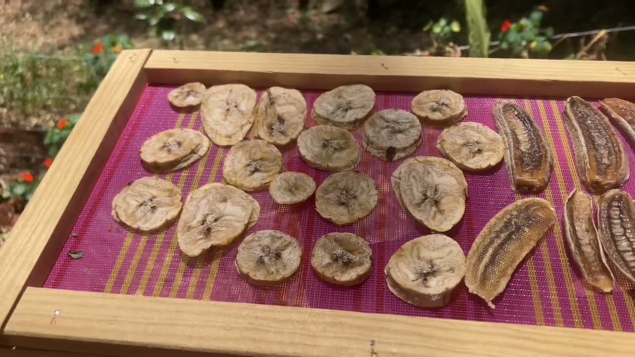 🍌platanos deshidratados🌞