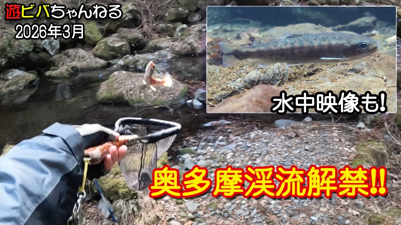 2026年3月 祝！2026年奥多摩渓流解禁！