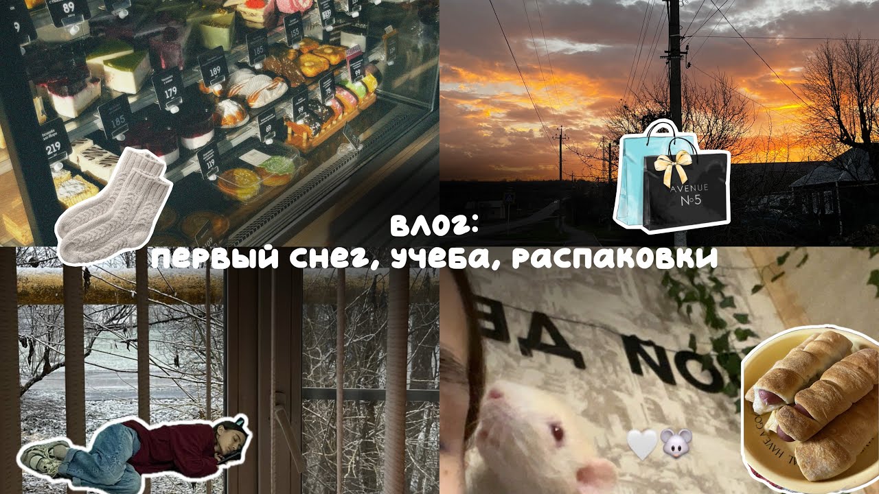 Влог: первый снег, учёба, распаковки 🌨🎒