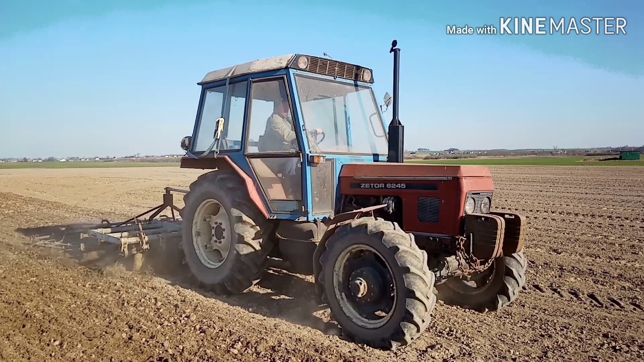 Kultywatorowanie | Zetor 6245 | Ogień na tłoki🚜🔥