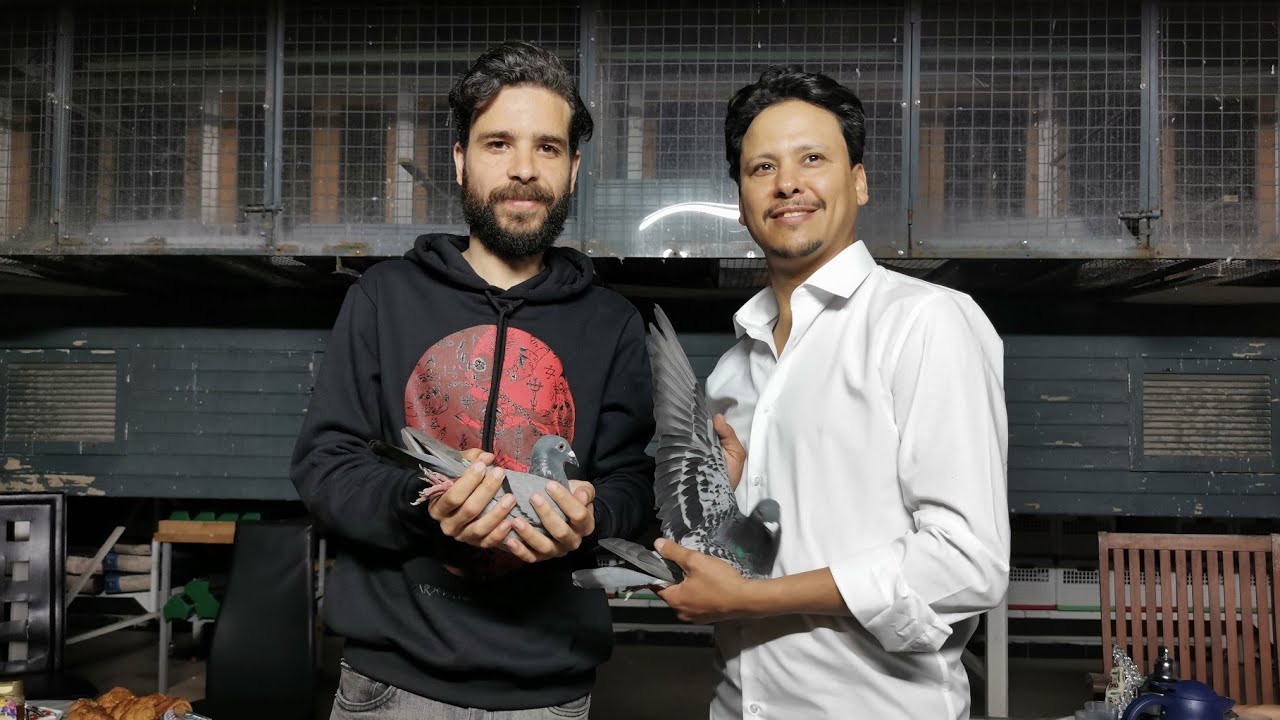 اعلان عالمي 🚨 للأبطال JH LOFT 🔥🏆 تألق في سباق أولاد جرار داخل الفدرالية في جمعية ملتقى الأبطال🎖️