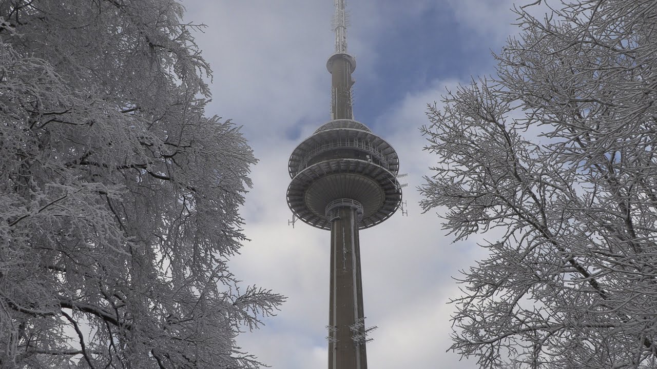 Winterzauber im Jan. 2021 am Essigberg, Habichtswald, von tubehorst1