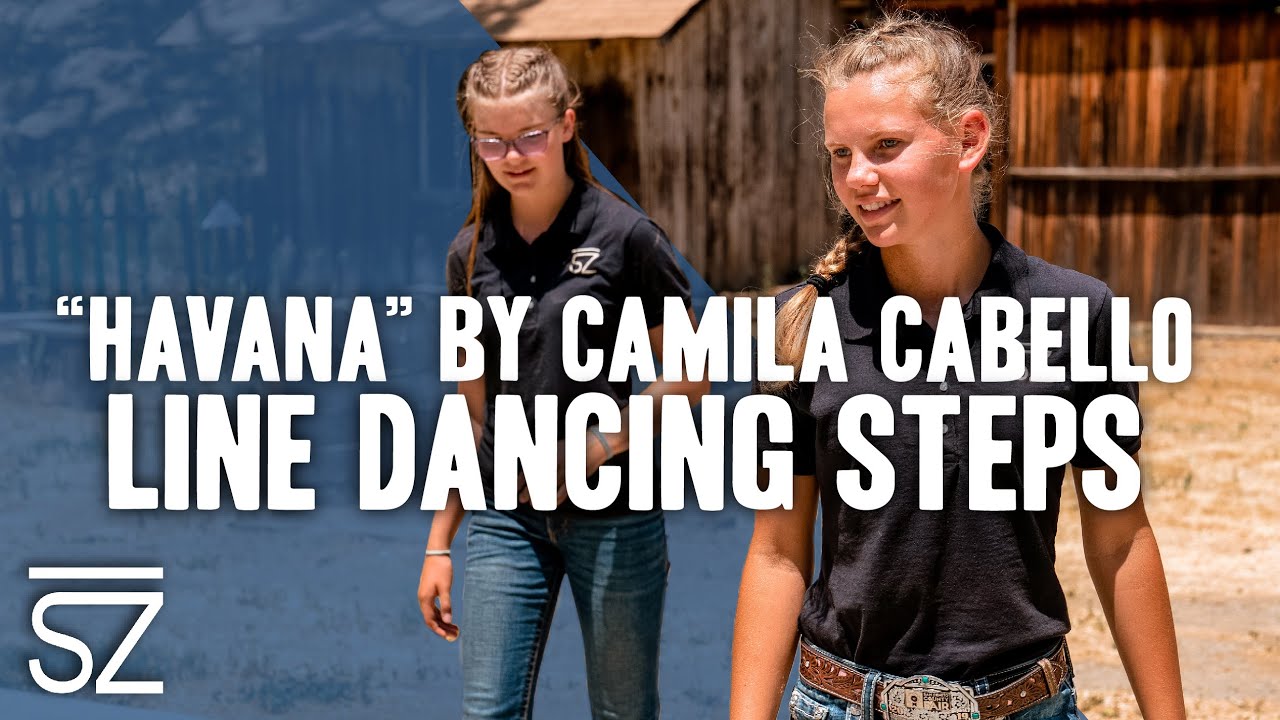 Learn the Line Dancing Steps to 