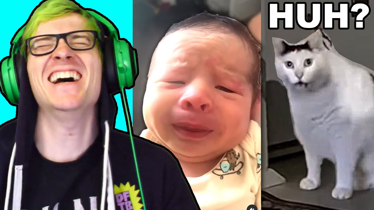 the funniest memes i found while sitting on the toilet