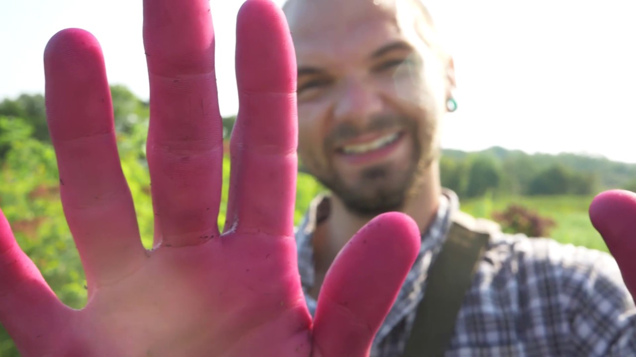 River Hills Harvest - Agroforestry Farm Tour Video Series
