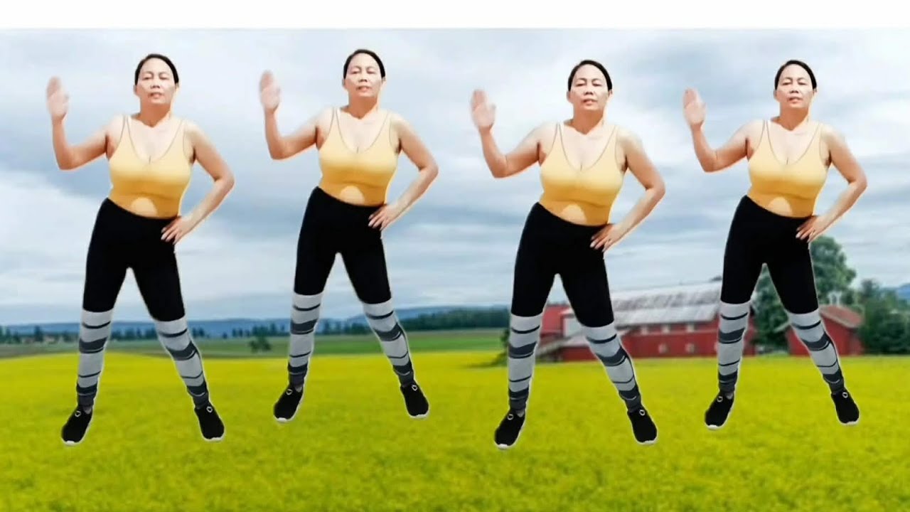 Exercise daily at home, reduce fat, slim waist, lose weight/workout dance fit