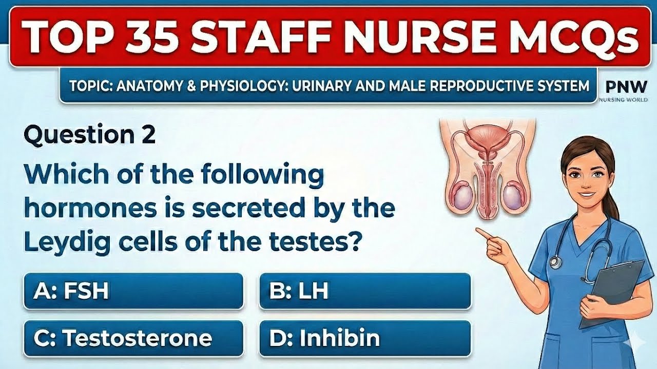 JKSSB Staff Nurse PYQ | GMC HANDWARA/UDHAMPUR | Urinary/Male Reproductive System | A&P Nursing 2026