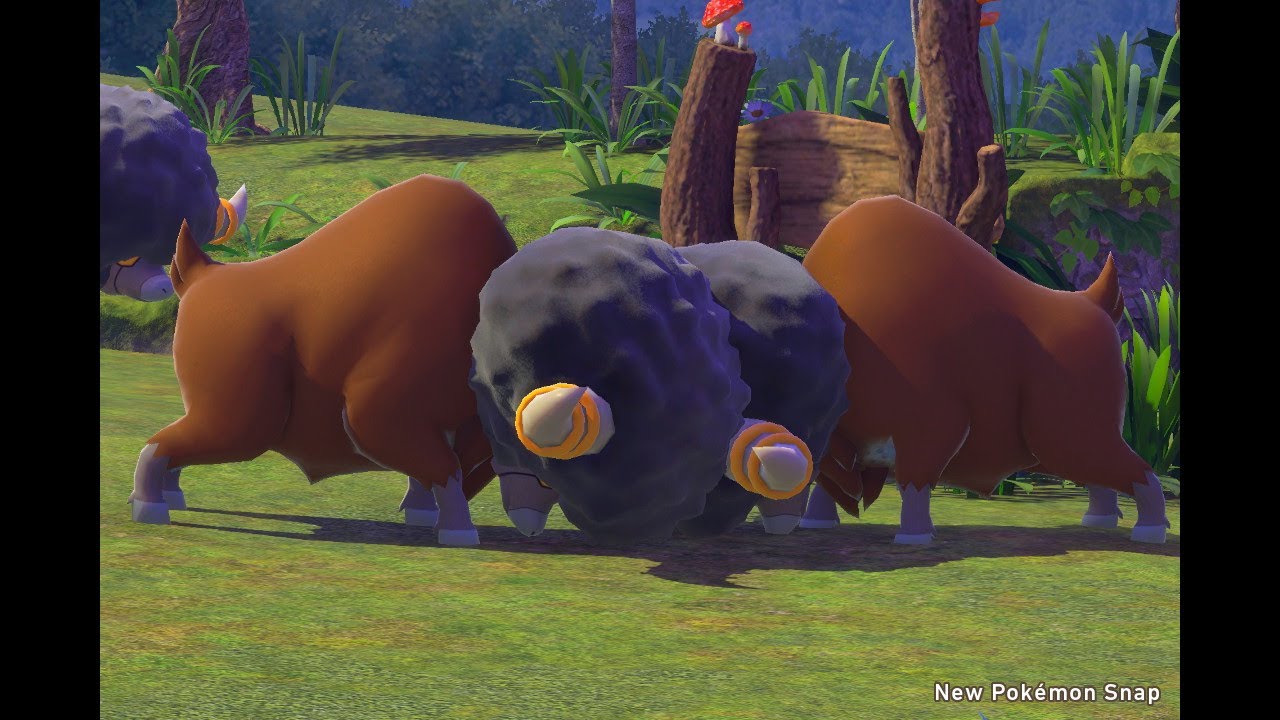 New Pok&eacute;mon Snap: Bouffalant vs Bouffalant