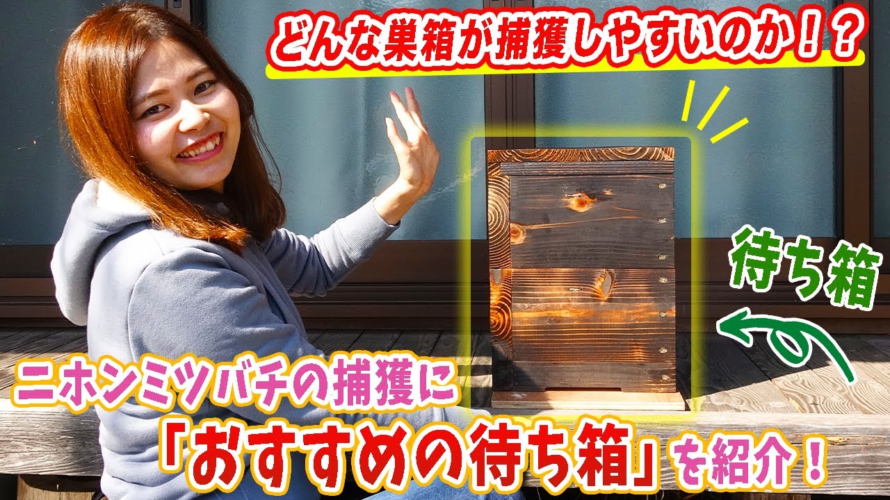 どんな巣箱が捕獲できる？【ニホンミツバチ捕獲におすすめの待ち箱紹介】