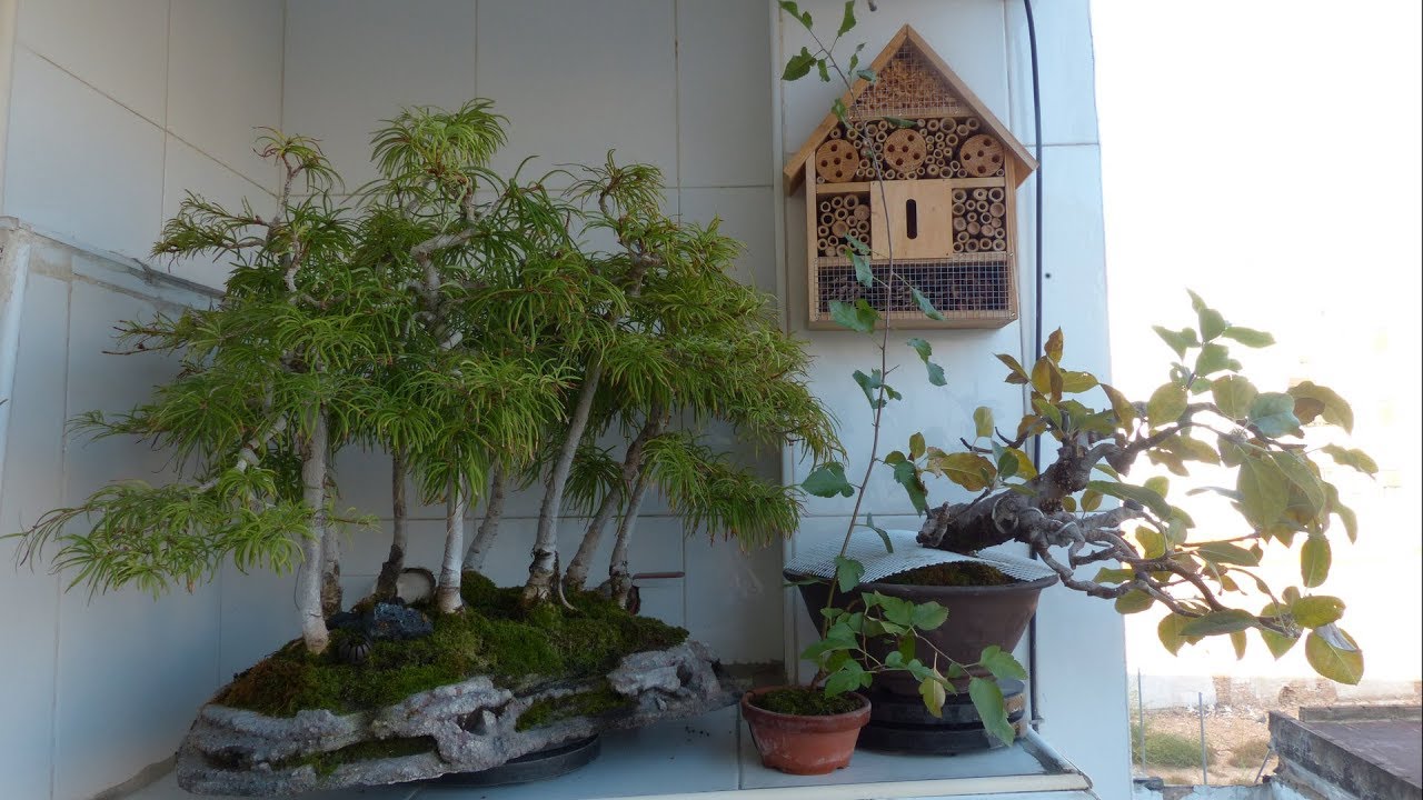 EL HOTELITO DE LOS INSECTOS POLINIZADORES