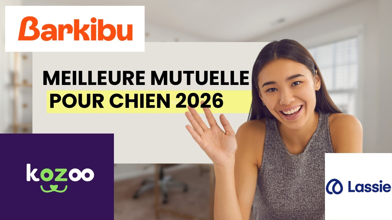Top 3 des Meilleures Assurance pour chien 2026 !