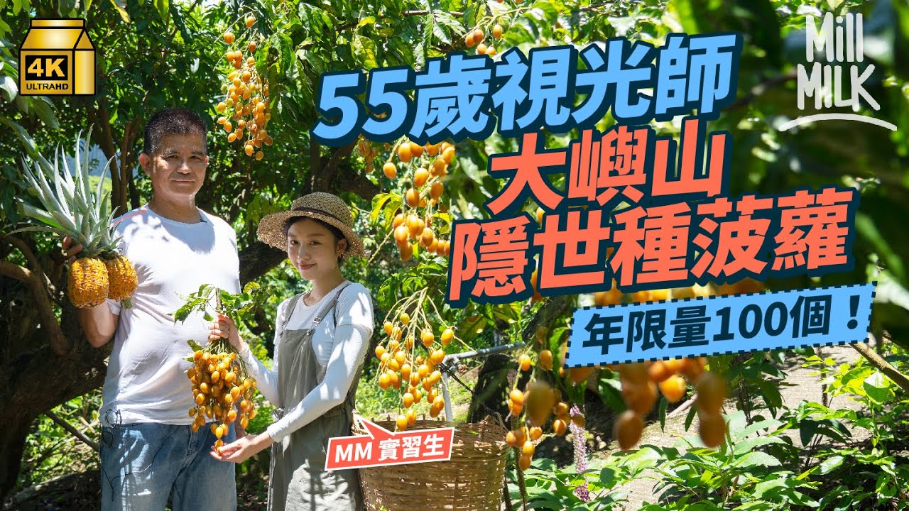 #MM｜55歲視光師於大嶼山隱世種每年限量100個香港獨有香水蜜糖菠蘿 出產3,000斤黃皮 80後辦《大嶼食通信》買雜誌送本地農產 直擊八號風球拉大隊上山救黃皮！｜#700萬種生活 #4K