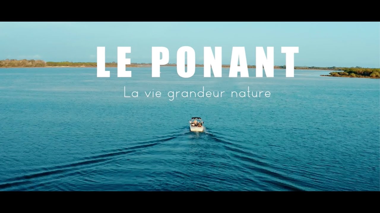 Le ponant : la vie grandeur nature