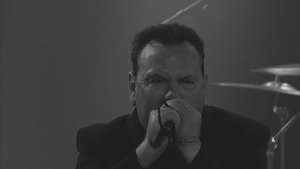 The Godfathers - Wild And Free (Official video)