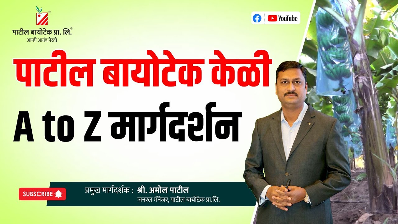 पाटील बायोटेक केळी, A to Z मार्गदर्शन #patilbiotech #patilbiotechtissueculture