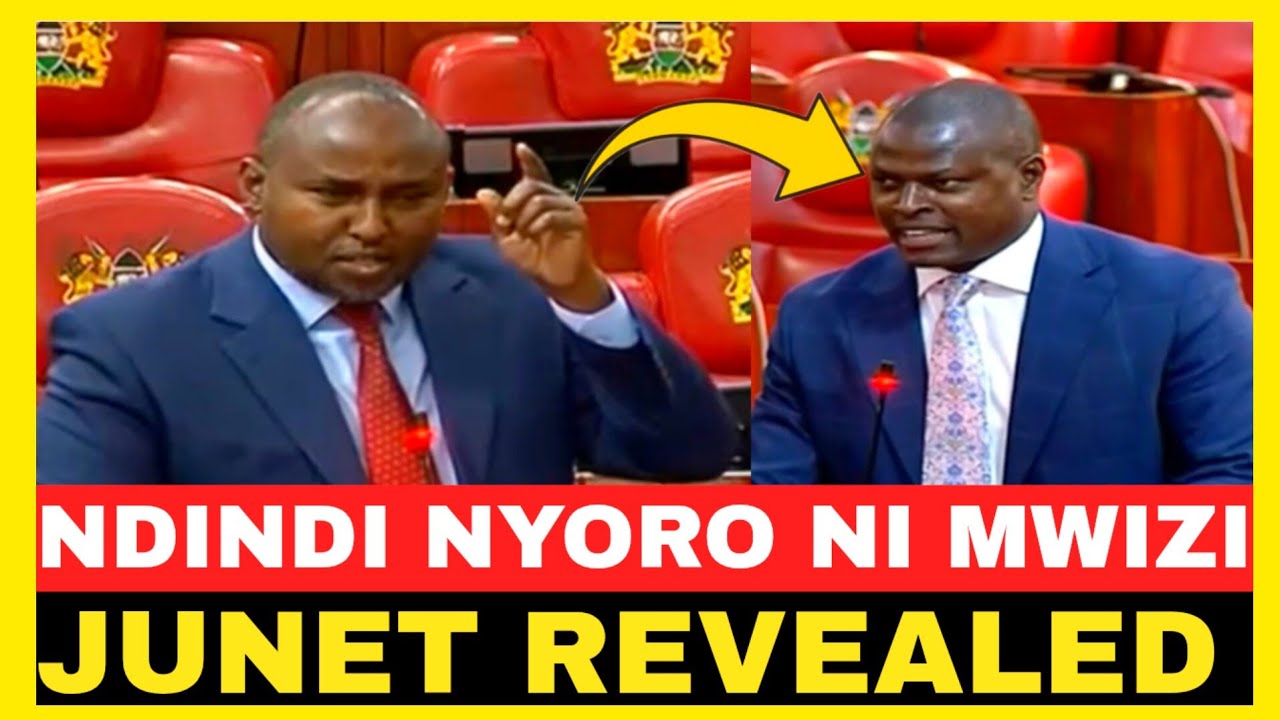 NDINDI NYORO NI MWIZI!JUNET MOHAMED REVEALED IN PARLIAMENT 