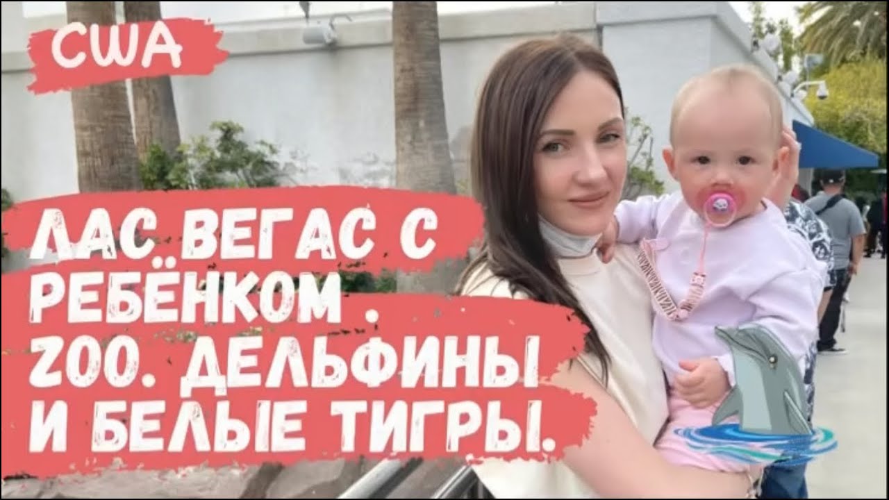 США.  Что делать в Лас Вегасе с ребёнком? Mini Zoo с Белыми тиграми и Дельфинами.  Отель Mirage.