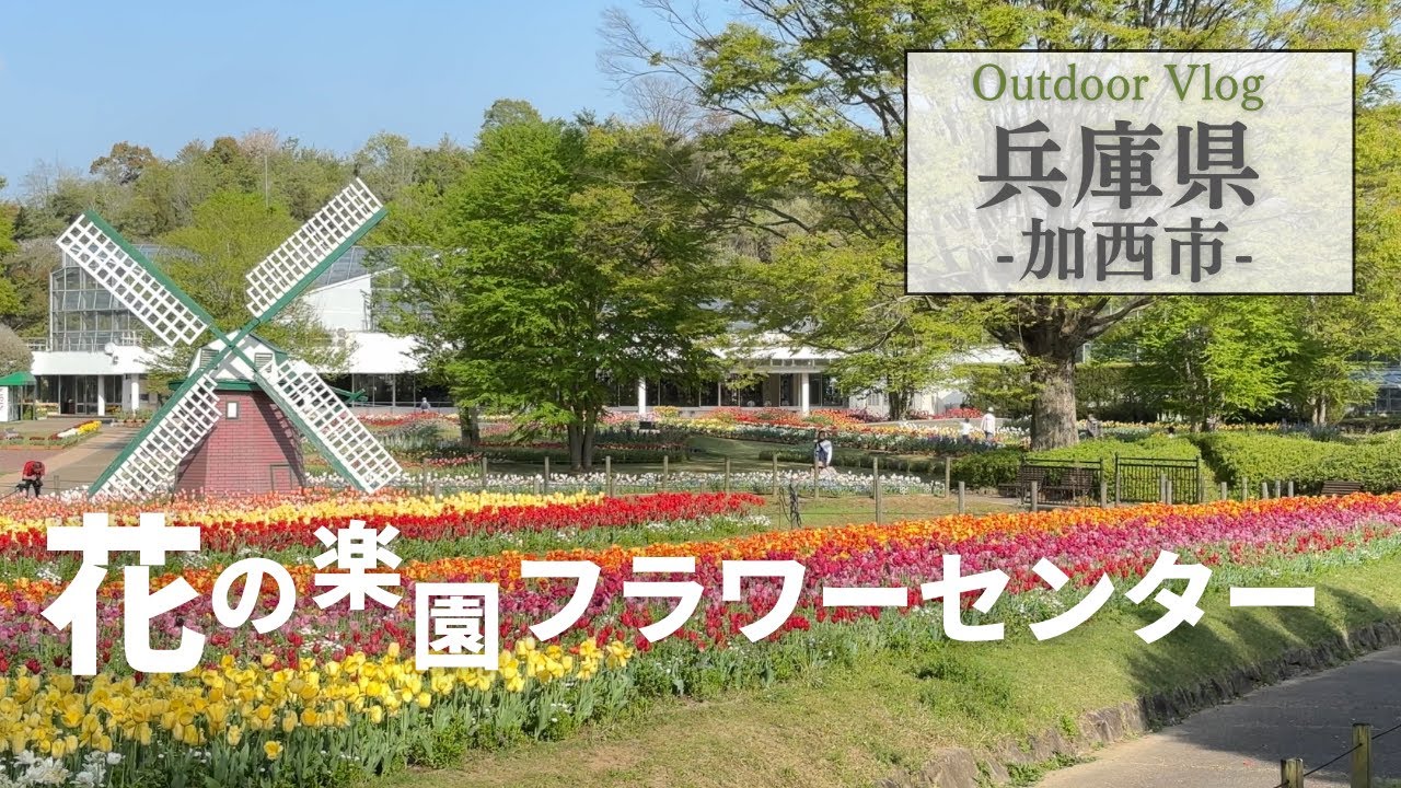 兵庫観光【加西市】最高のシーズン‼︎春のフラワーセンター/兵庫県立フラワーセンター