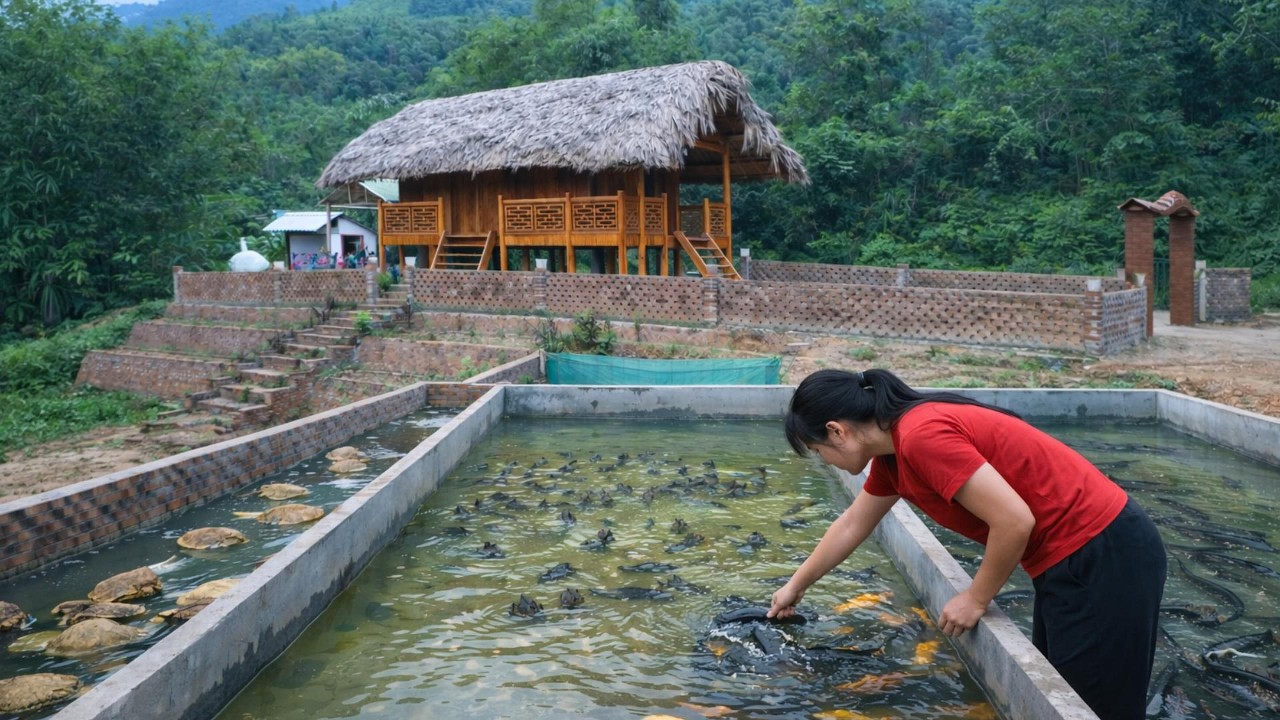 FULL VIDEO TIME-LAPSE: 315 Days Building the fish tank - completing the Dream Farm