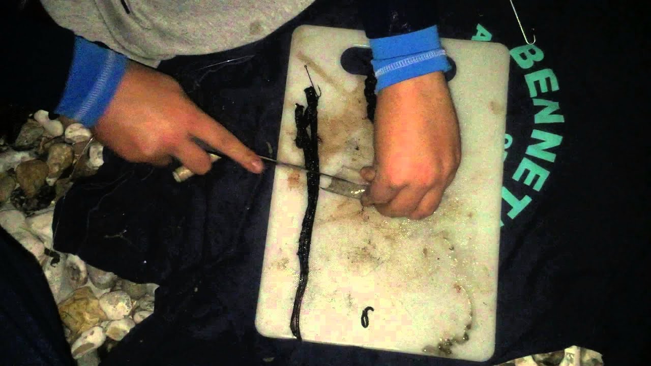 How to prepare black lug and squid wrap