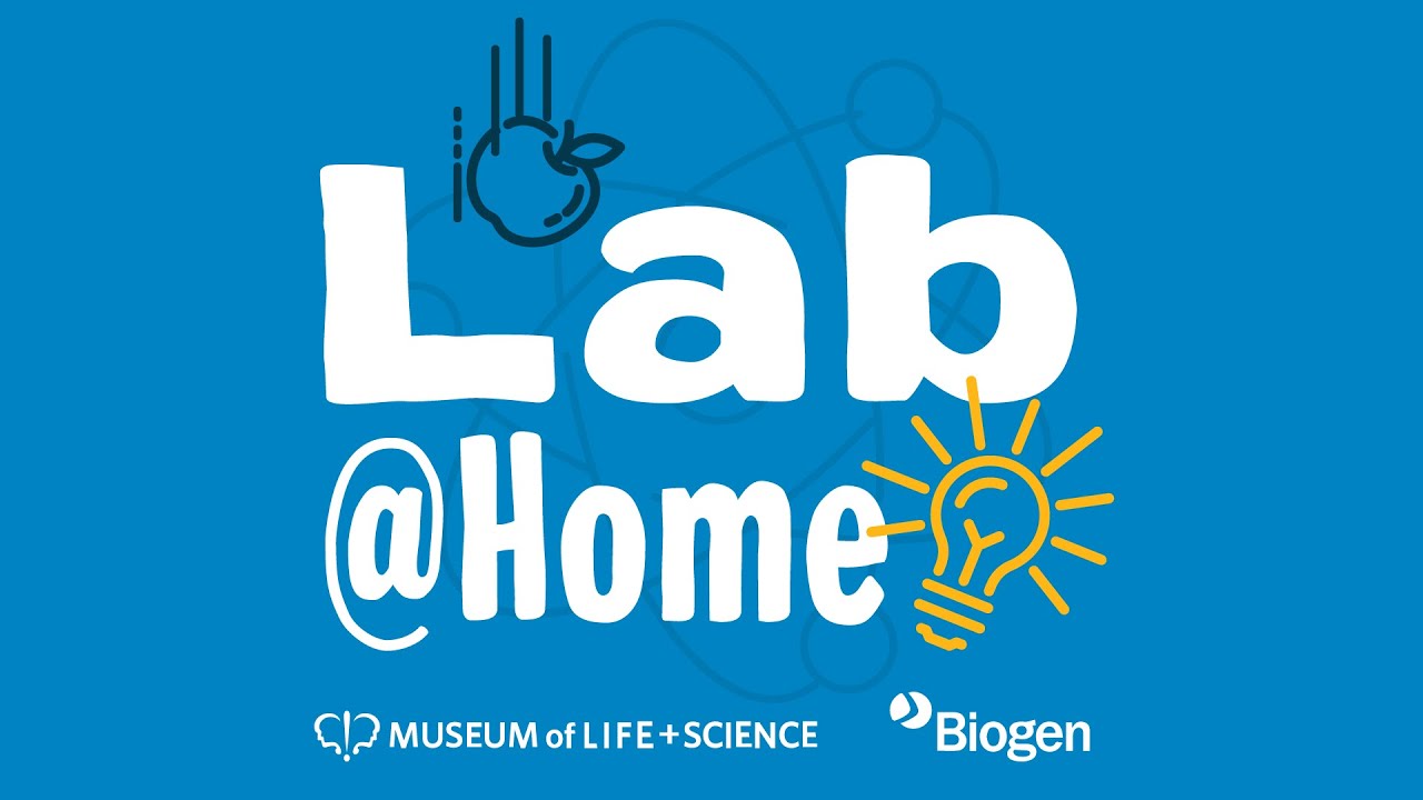 Lab@Home: Scientist Spotlight with Dr. Becca Peixotto
