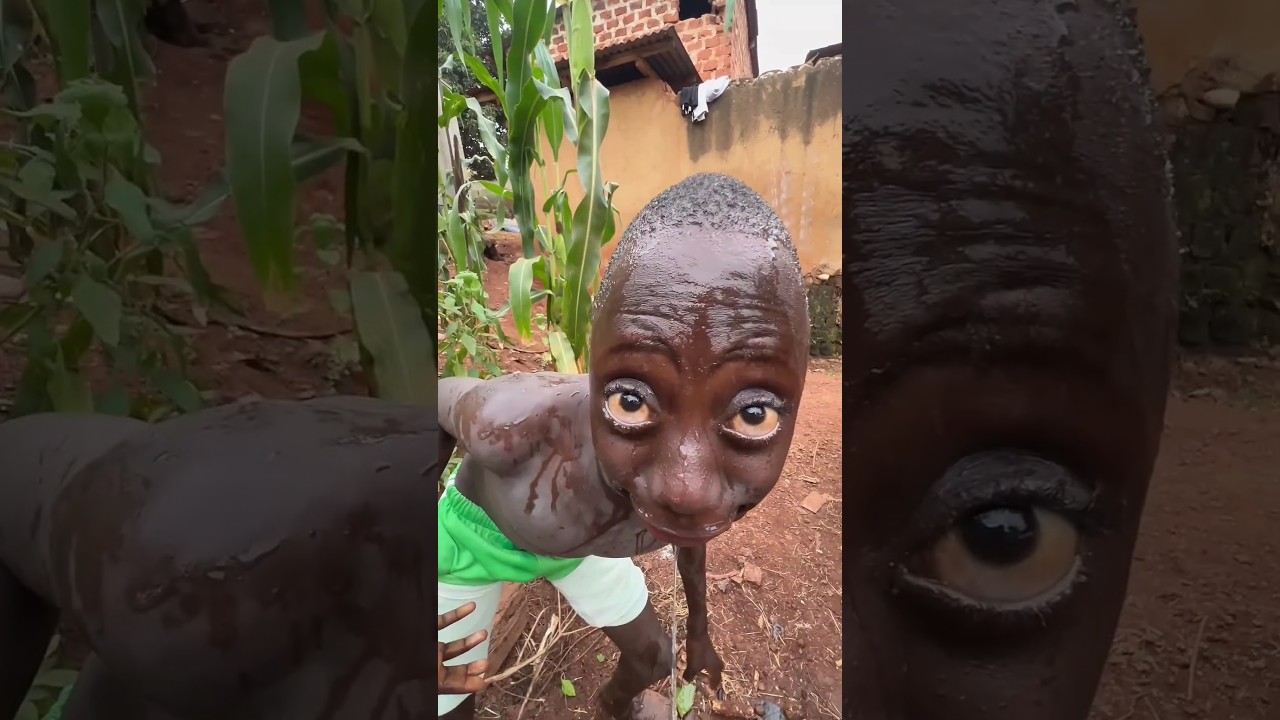 Tango Tango #trending #instagram #funny #shortsvideo