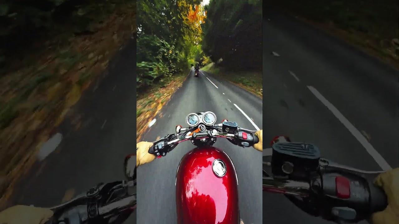 Triumph T120 chasing a Bobber #triumph #motorcycles #bikers