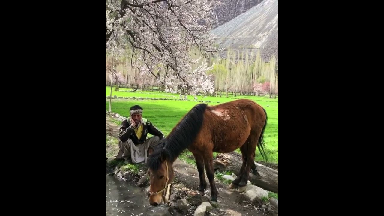Frano Valley Ghanche Baltistan Skardu#Shorts