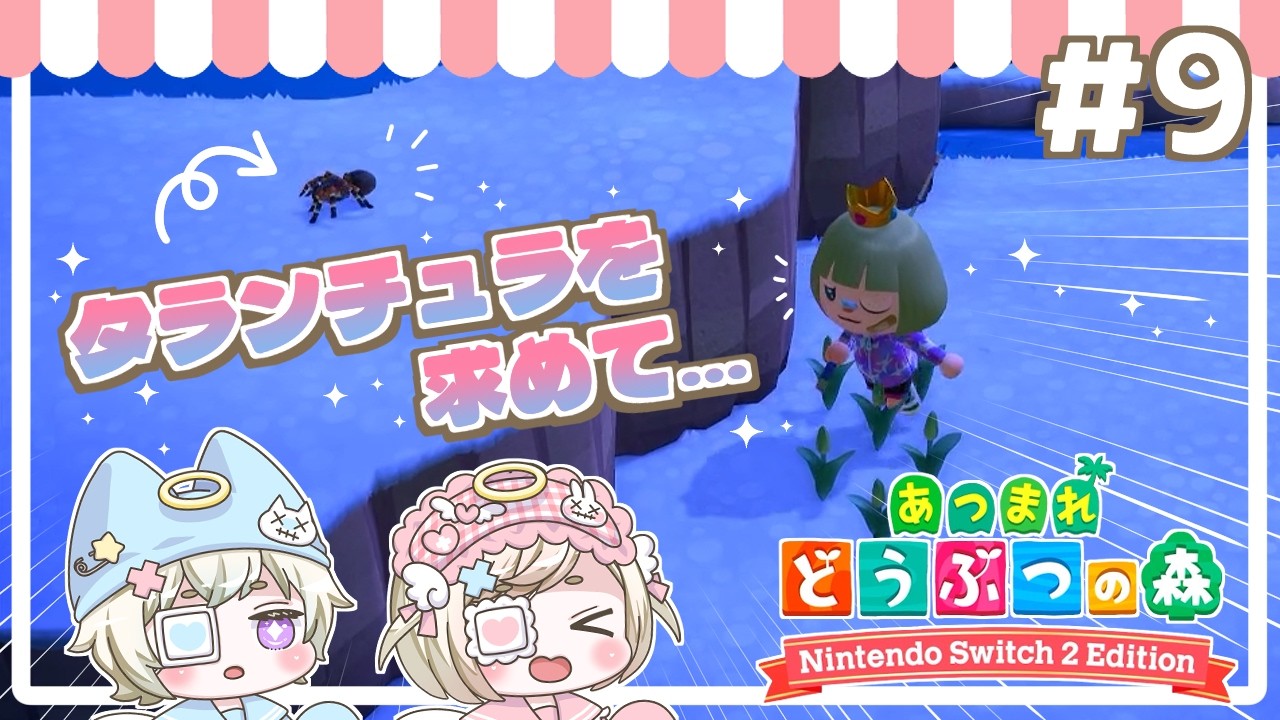 【あつ森】求ム！タランチュラ‼｜#9